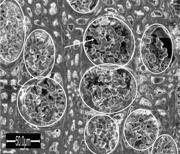 Preparation method of organic and inorganic wood composite material