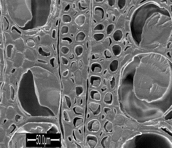 Preparation method of organic and inorganic wood composite material