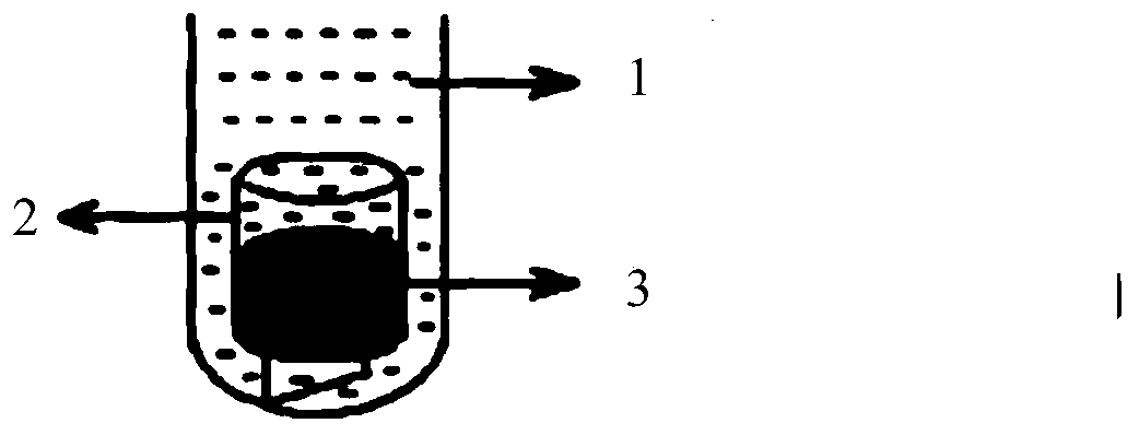 Ziconotide injection hypodermic implant and preparation method thereof