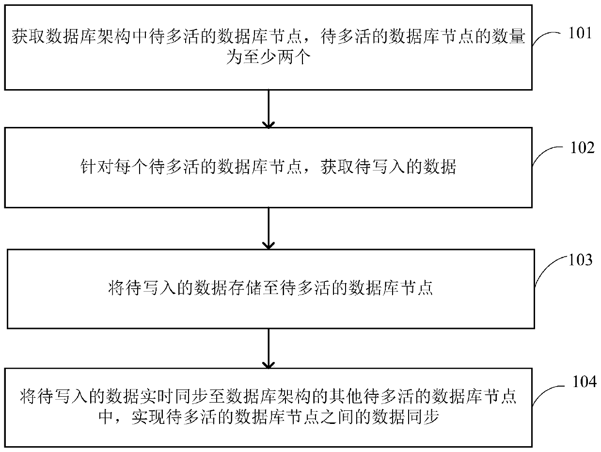 Database multi-activity method and device