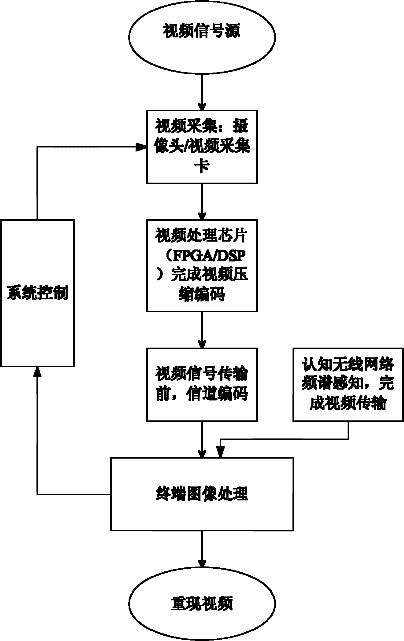 Wireless multimedia sensing network video signal adaptive sampling and spectrum allocation method