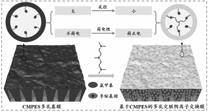 Preparation method of porous cross-linked anion exchange membrane for diffusion dialysis