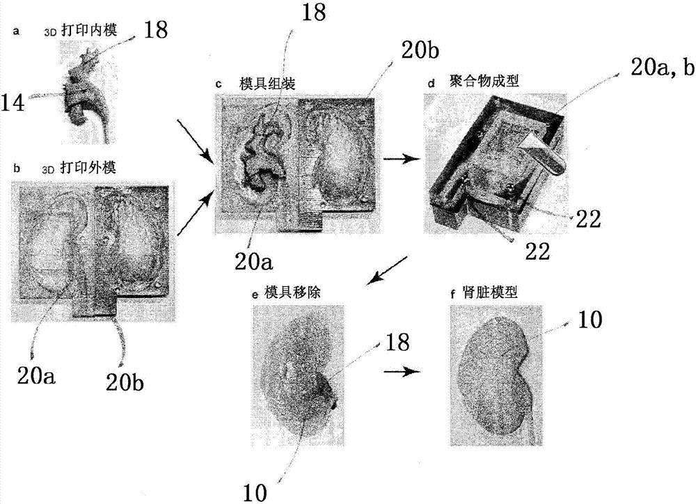 Method Of Producing Phantom And Phantom