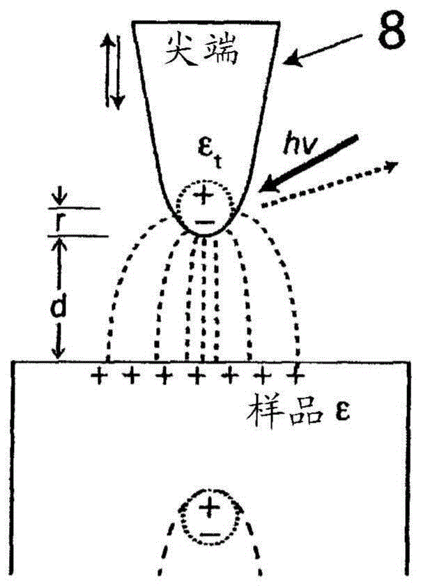 Method to obtain absorption spectra from near-field infrared scattering using homodyne detection