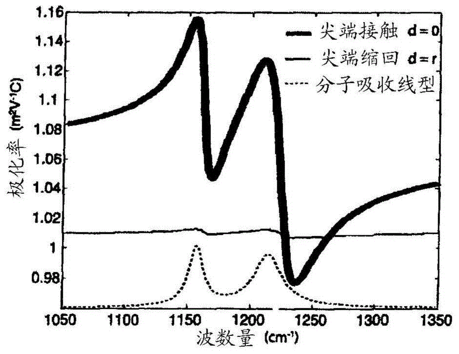 Method to obtain absorption spectra from near-field infrared scattering using homodyne detection