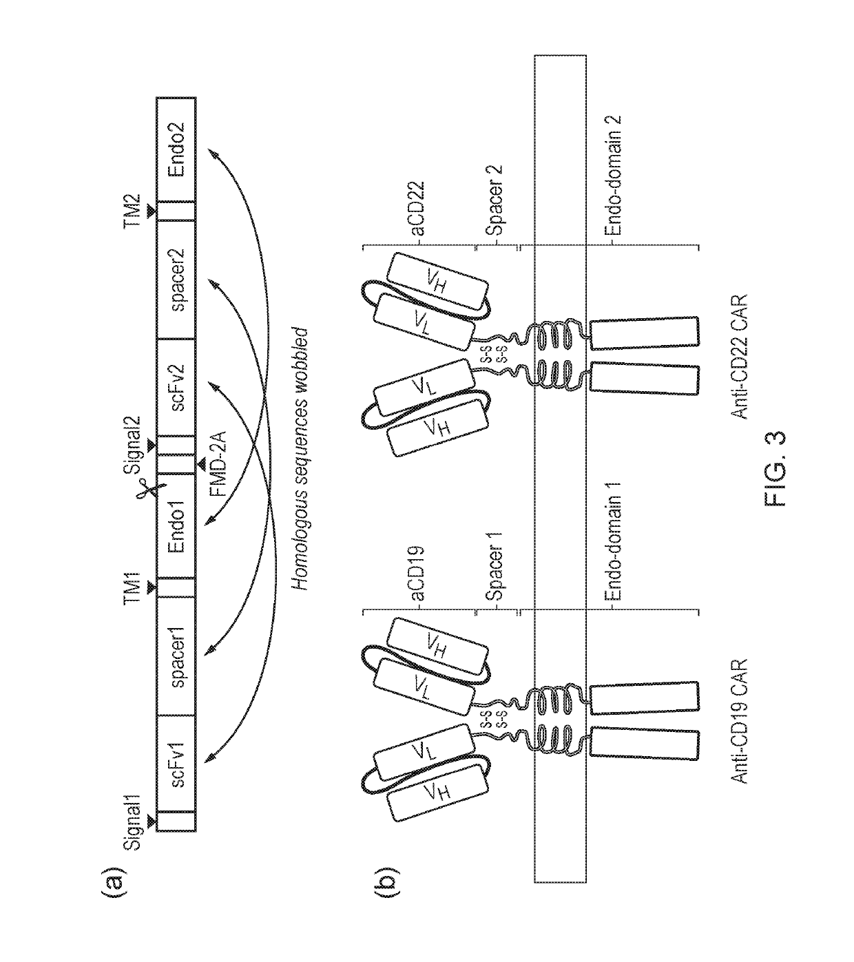 Tunable Chimeric Antigen Receptors