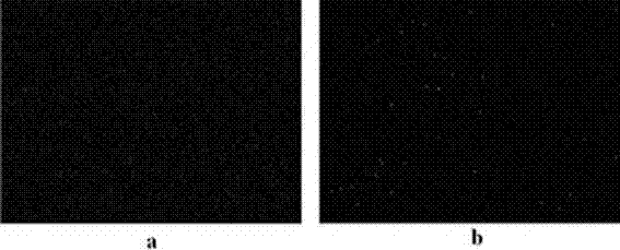 Method for carrying out cyanide-free cuprous brass electroplating on steel cord and method for passivating brass coating