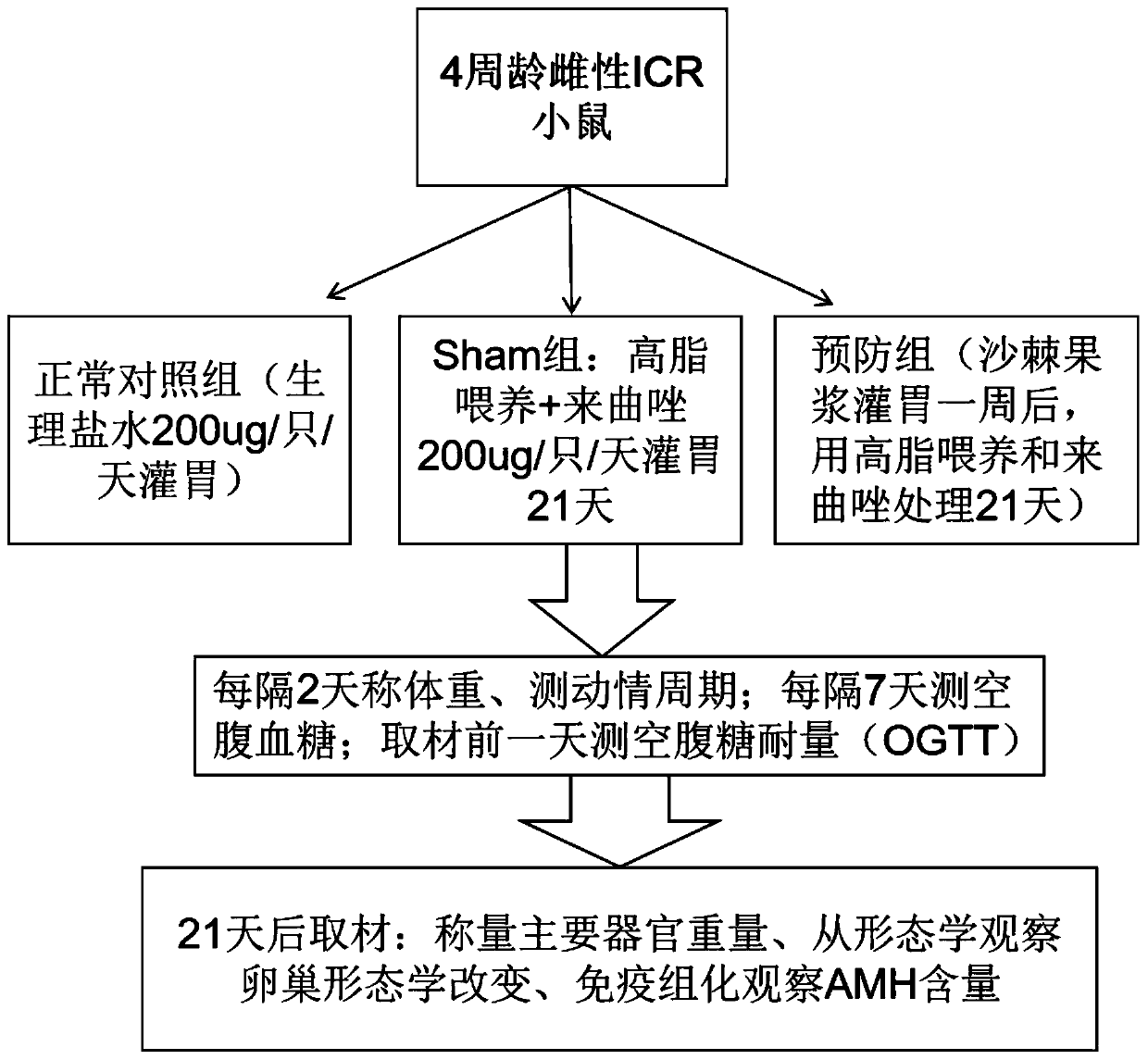 Application of seabuckthorn pulp in prevention of polycystic ovary syndrome (PCOS)