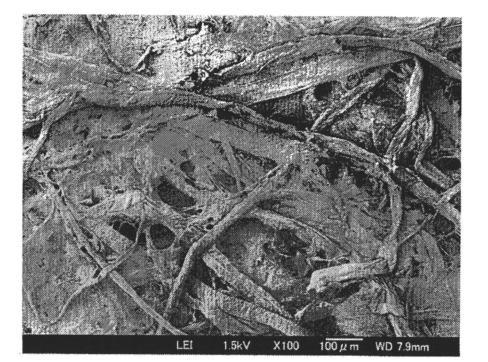 Cellulose nanofibers