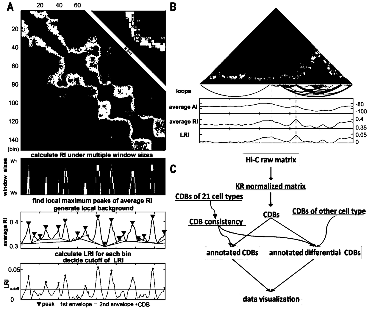 Analysis method for chromatin topological domain boundaries