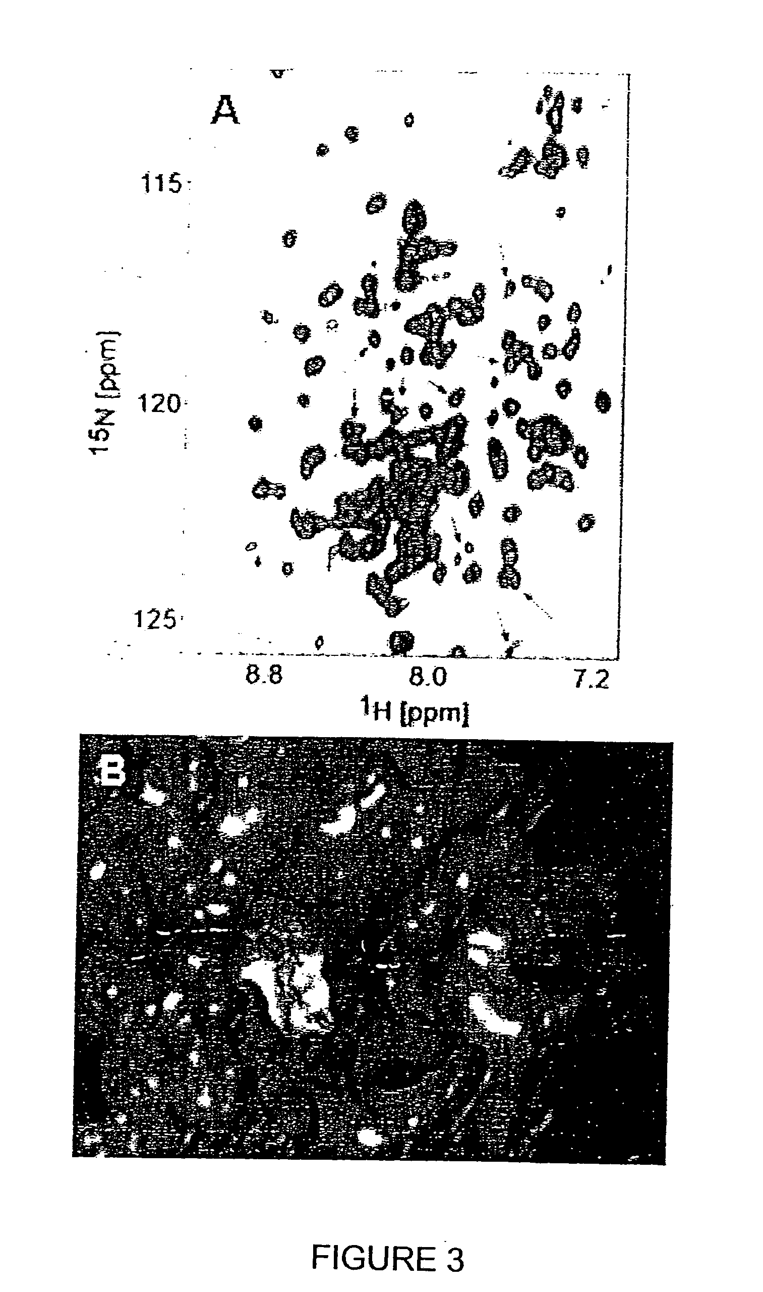 Inhibition of Bid-Induced Cell-Death Using Small Organic Molecules