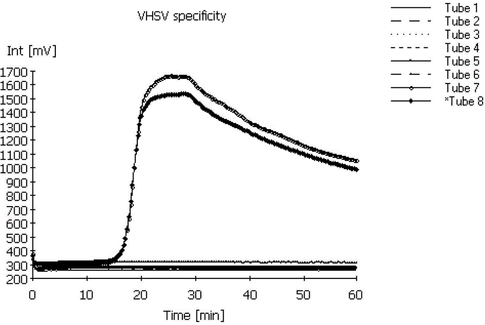 RT-LAMP test kit for viral hemorrhagic septicemia virus