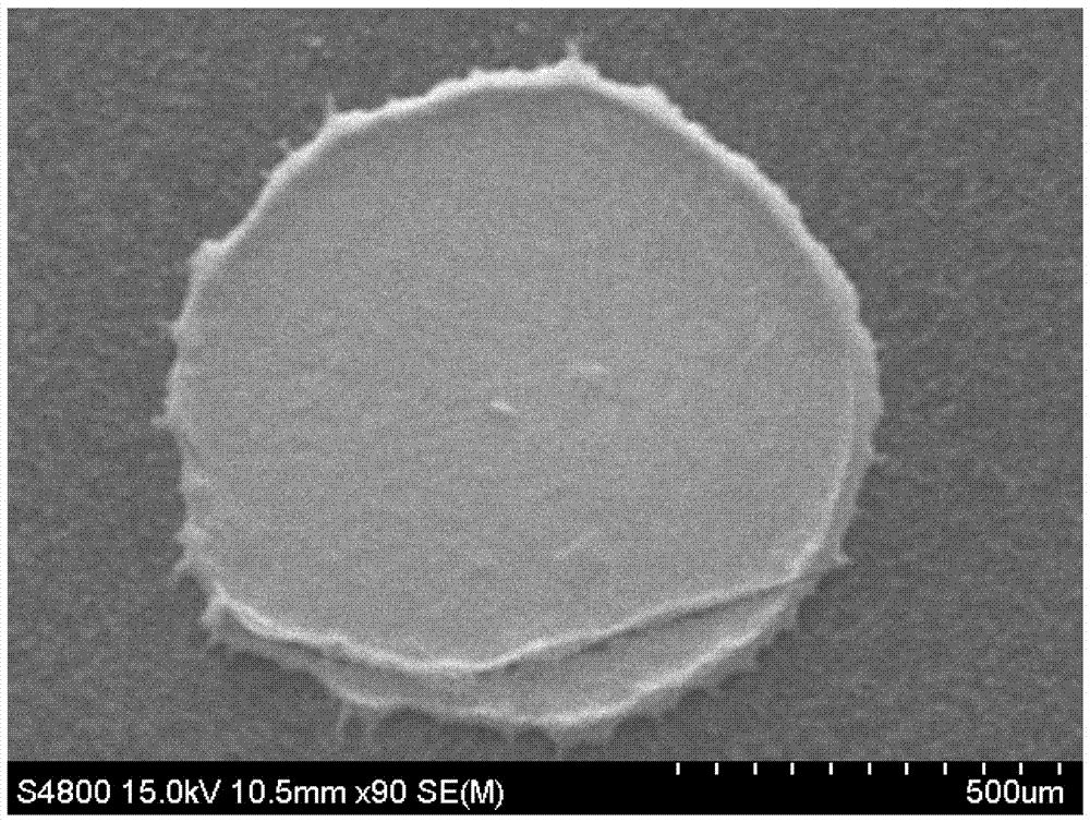 Three-dimensional hotspot Raman detection chip based on shell-layer insulating nanoparticles