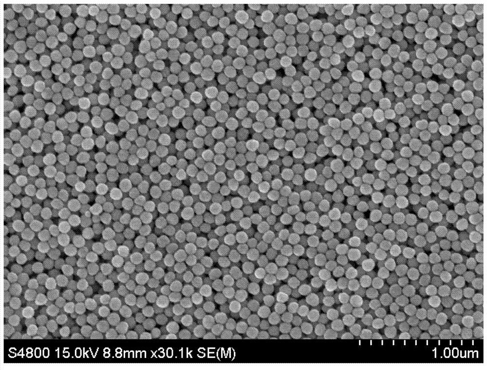 Three-dimensional hotspot Raman detection chip based on shell-layer insulating nanoparticles