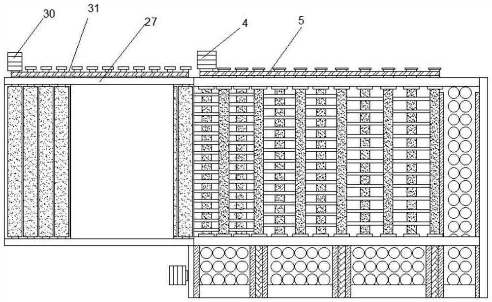 Kiwi fruit sorting and transporting device