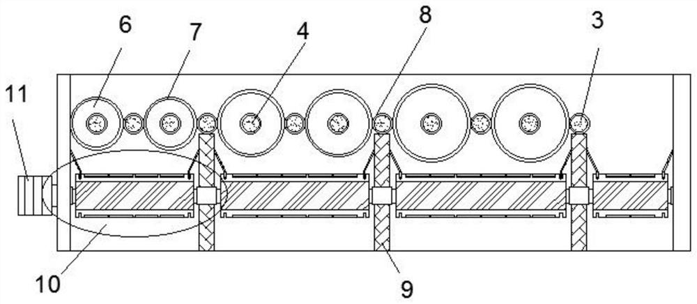 Kiwi fruit sorting and transporting device