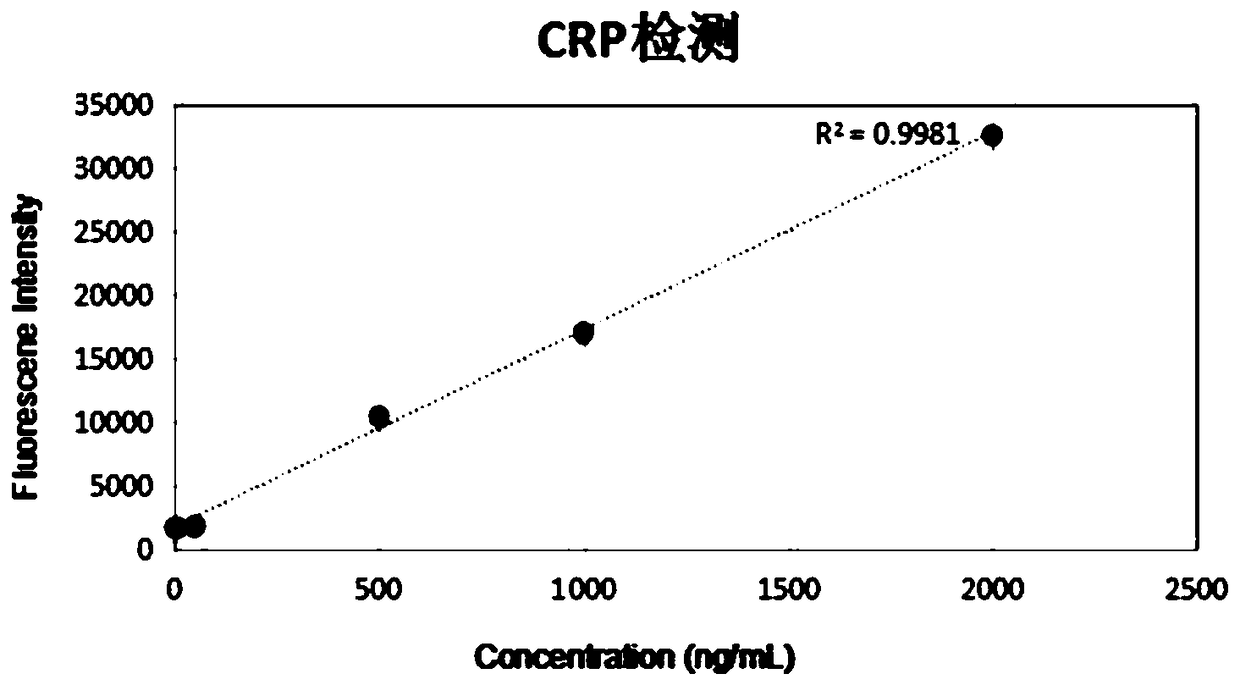 Fluorescence resonance energy transfer polystyrene fluorescent microsphere and preparation method thereof