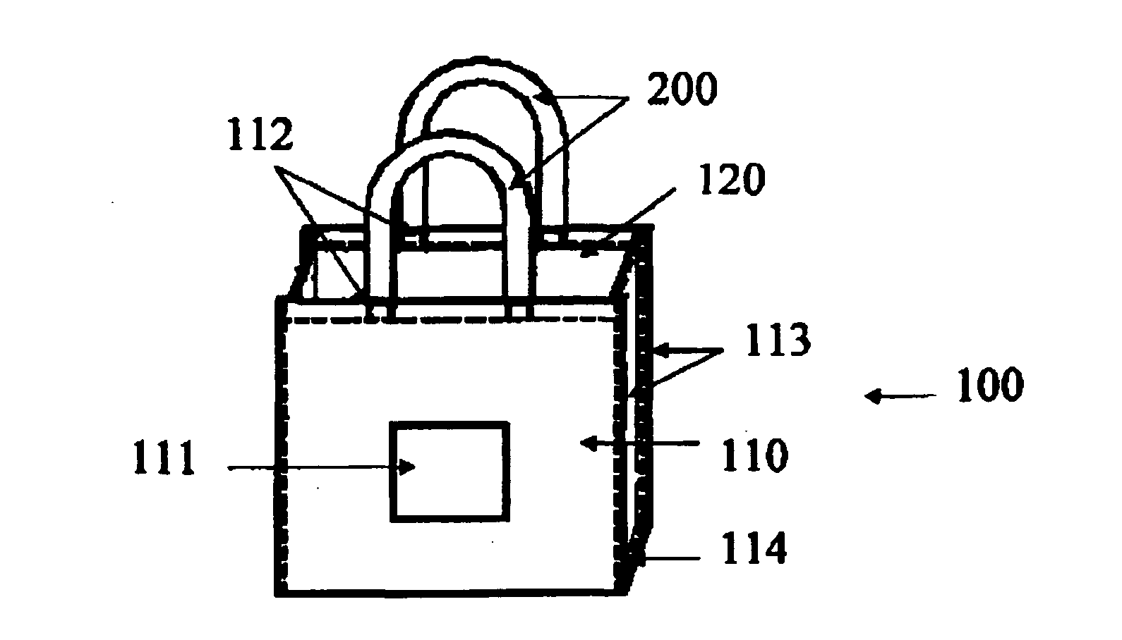 Biodegradable Bag