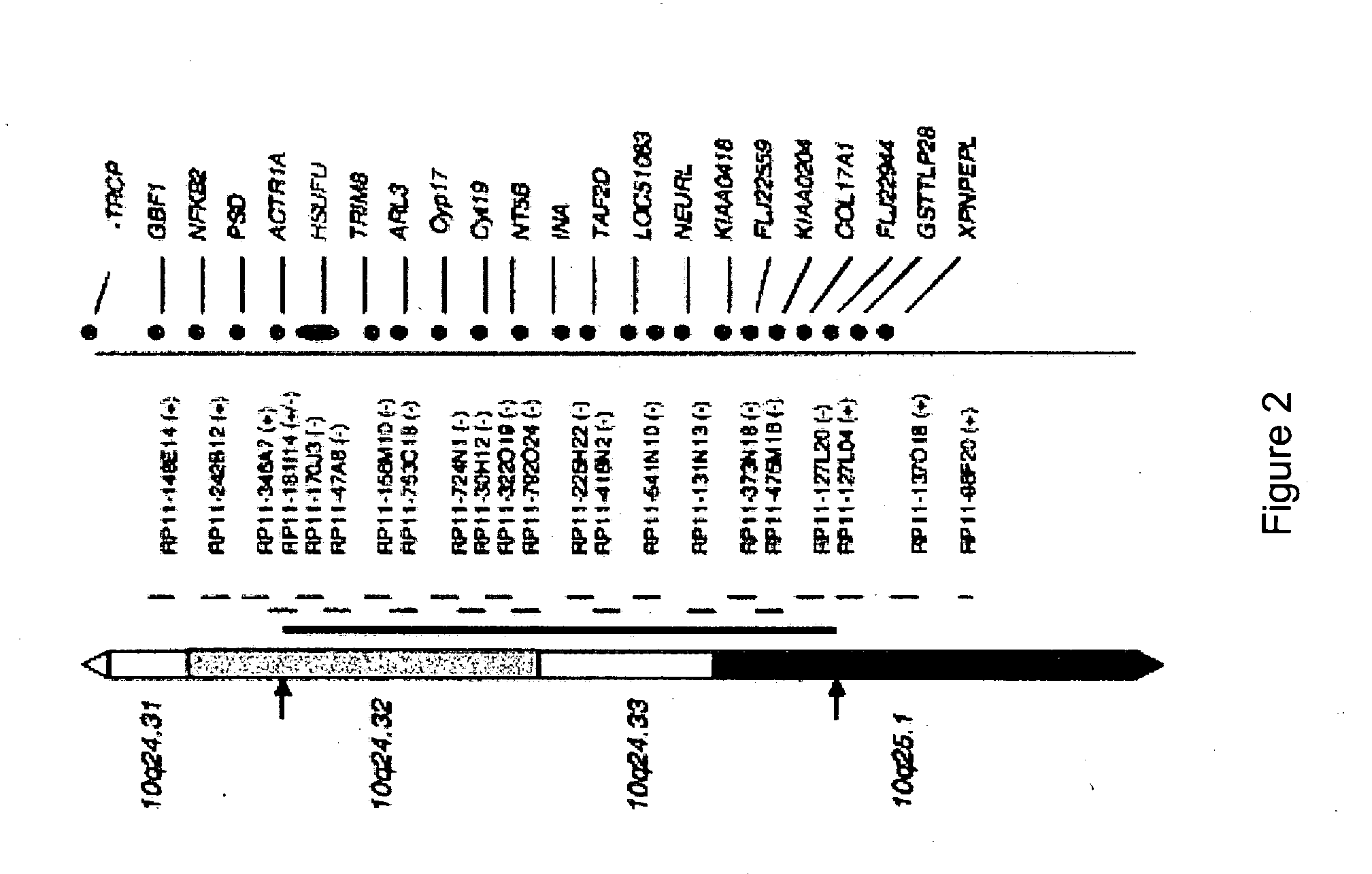 Diagnostic and therapeutic uses of SUFU gene