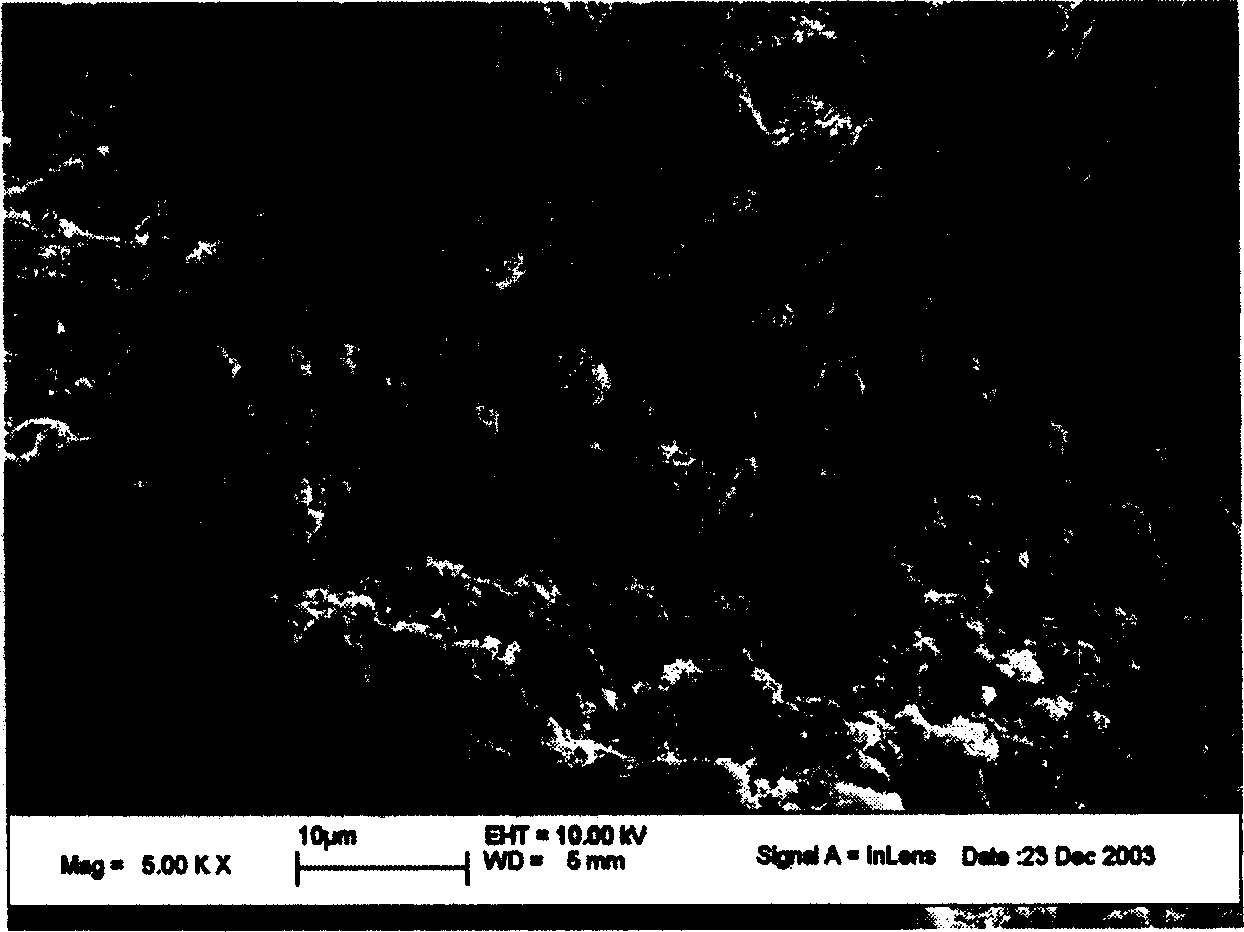 Mineralized fibrion/macromolecule composite porous material and preparation method