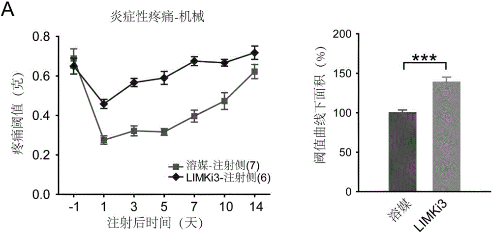 Application of LIM kinase inhibitor LIMKi3 to preparation of drug for treating pains