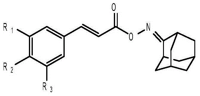 Anti-hepatitis B virus active phenylpropanoids adamantine ketoxime ester compound