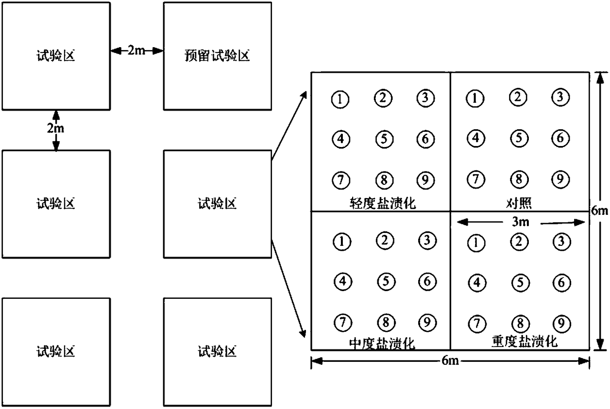 Field herbaceous plant environment control test method