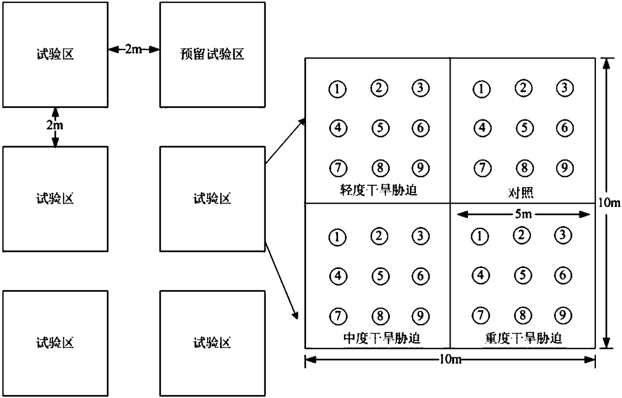 Field herbaceous plant environment control test method