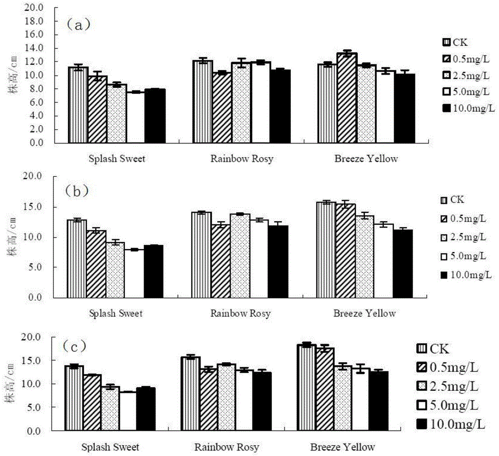 Method for appraising cadmium tolerance of chrysanthemums