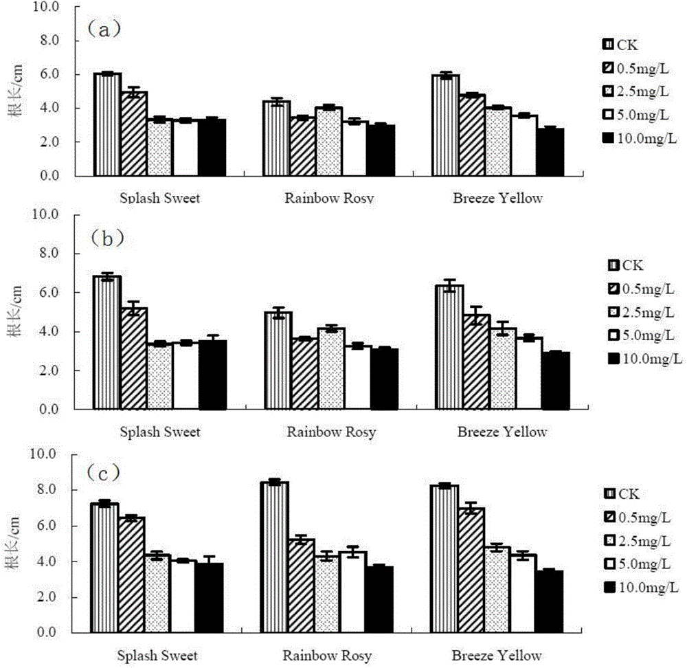 Method for appraising cadmium tolerance of chrysanthemums