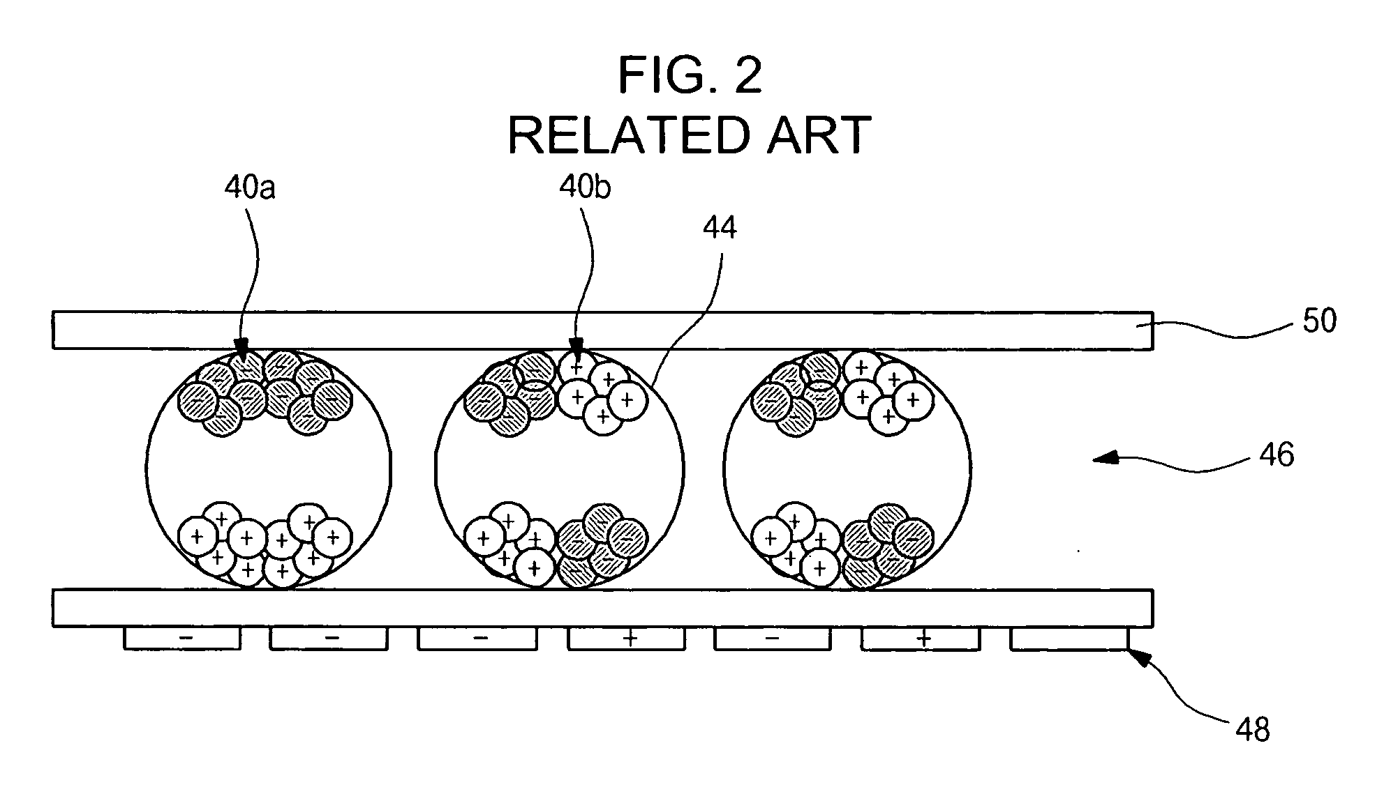 Electrophoresis type display device and method of fabricating and driving the same