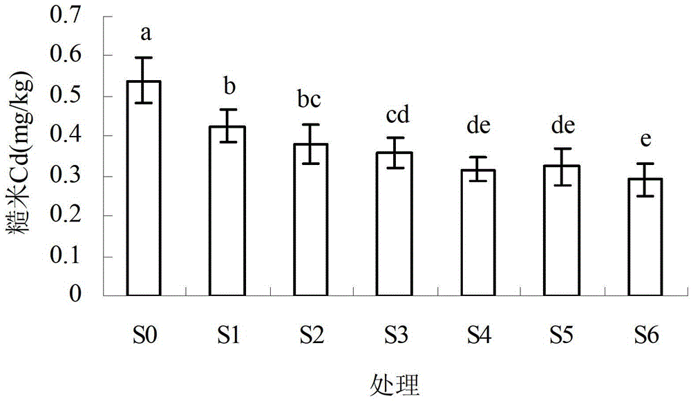 Soil conditioning method capable of reducing cadmium accumulation for paddy rice