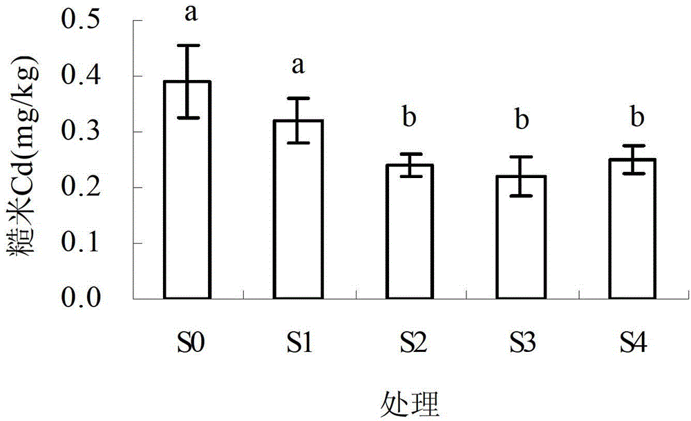 Soil conditioning method capable of reducing cadmium accumulation for paddy rice