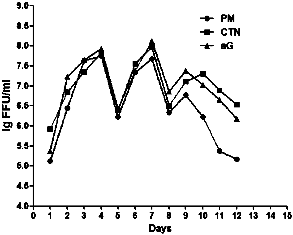 Rabies vaccine virus screening method and preparation method of rabies vaccine