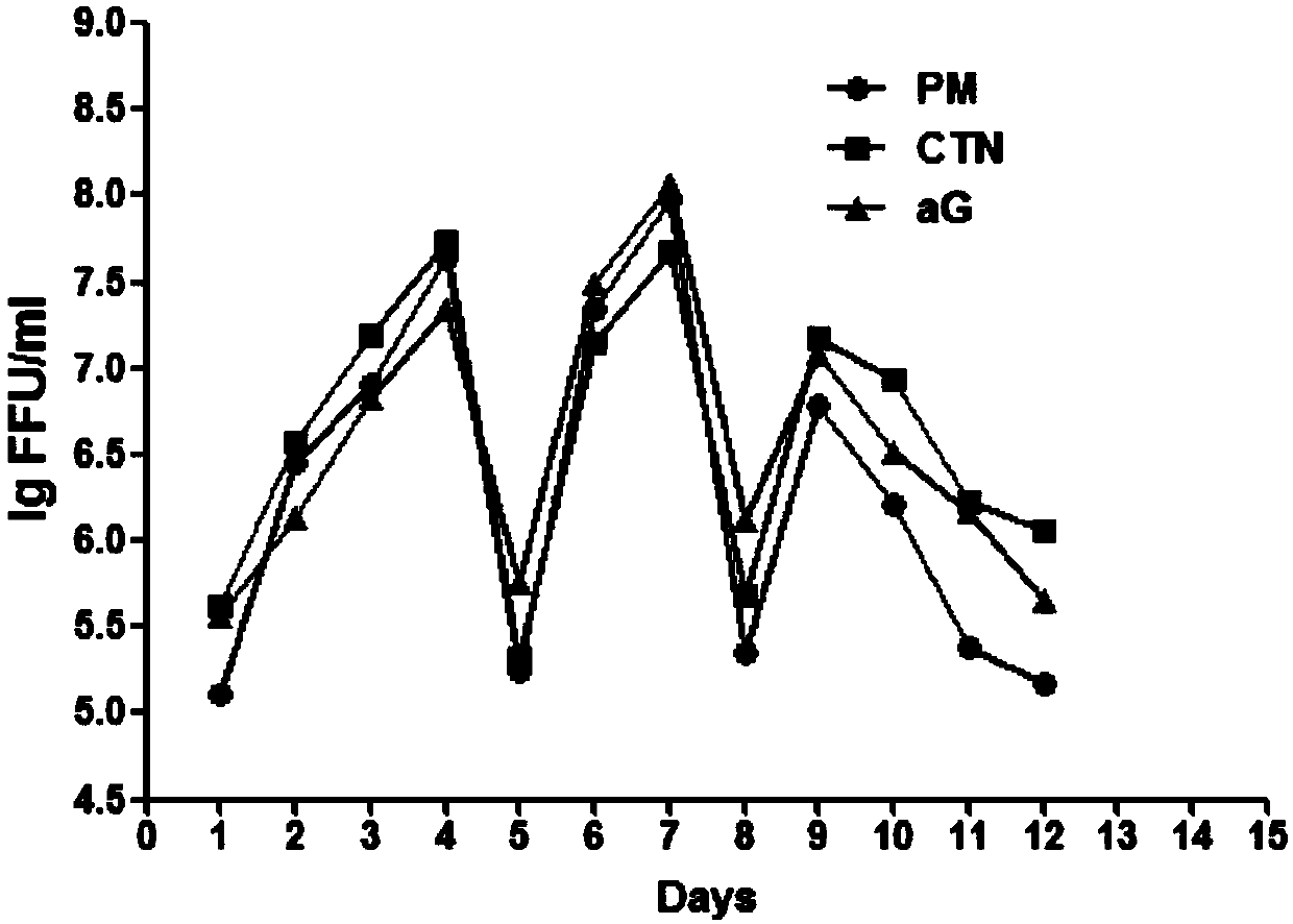 Rabies vaccine virus screening method and preparation method of rabies vaccine