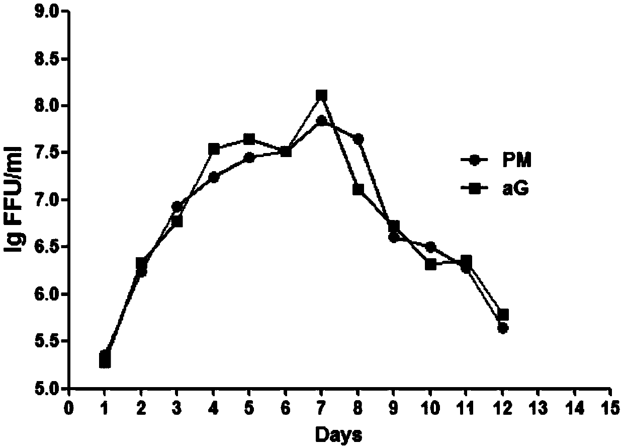 Rabies vaccine virus screening method and preparation method of rabies vaccine