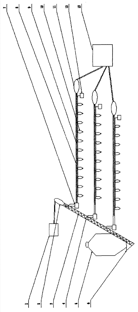 Automatic feeding system for breeding industry