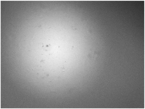 Method for preparing low-cost asphalt-based spherical activated carbon with hierarchical porouse structure