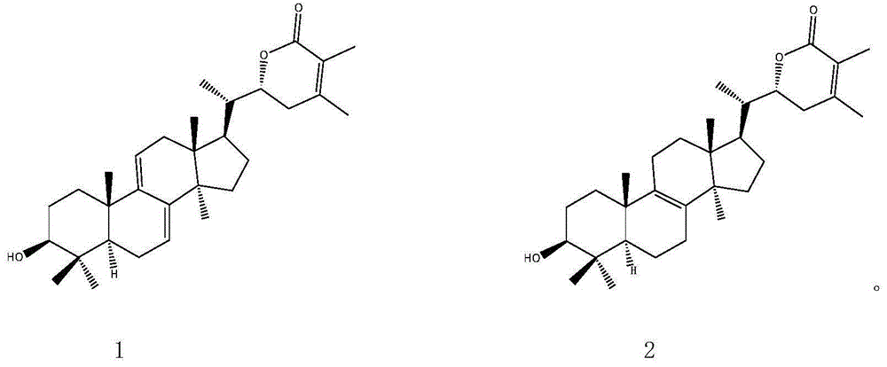 Triterpenoid compounds and application thereof in diabetes treatment drugs