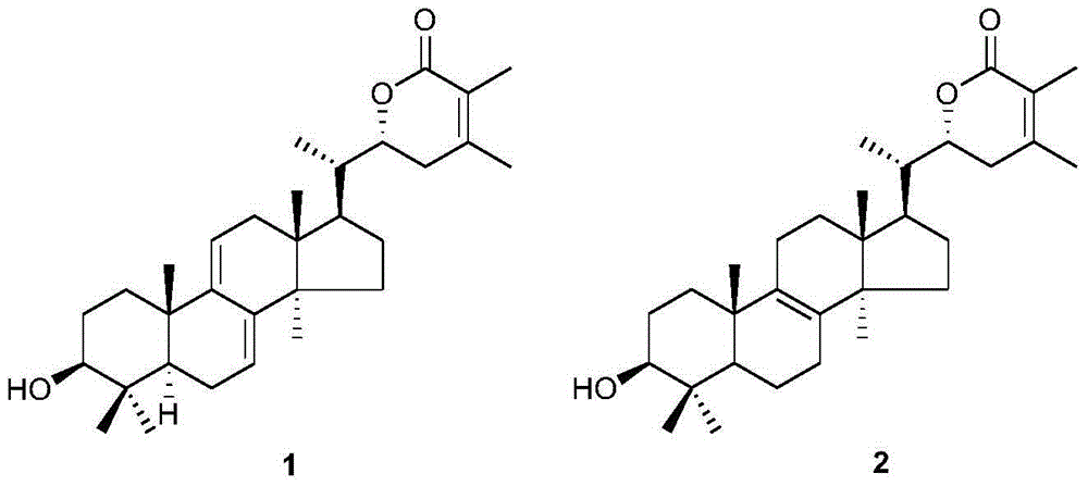 Triterpenoid compounds and application thereof in diabetes treatment drugs