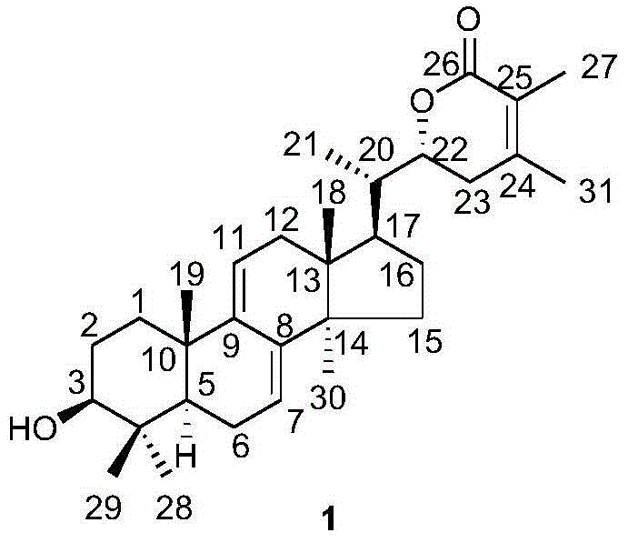 Triterpenoid compounds and application thereof in diabetes treatment drugs