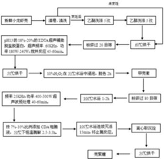 Method for preparing lobster shell chitosan through cooperation of ultrasonic wave and CDA (Chitin Deacetylase)