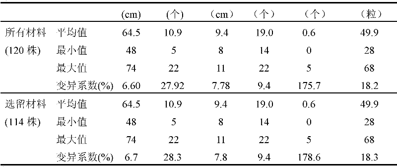 Method for breeding ultrahigh-yield eurytopic wheat