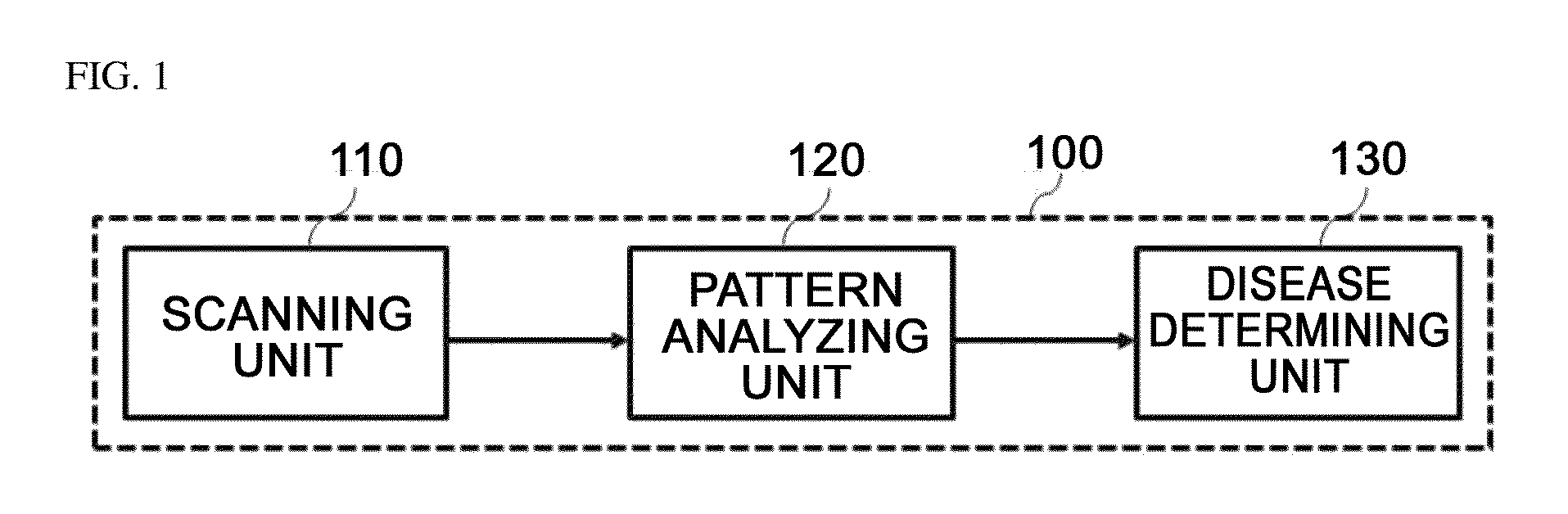 Apparatus and Method for Diagnosing Disease Involving Optic Nerve