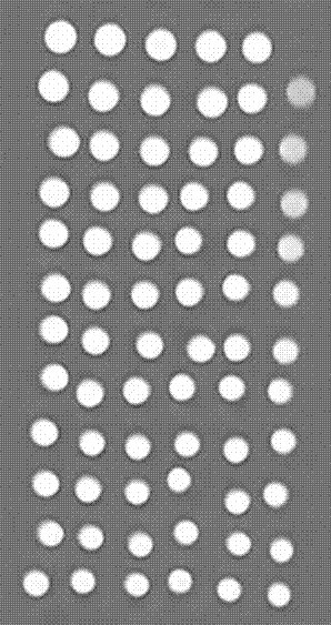 Method for obtaining contrast agent relaxation time