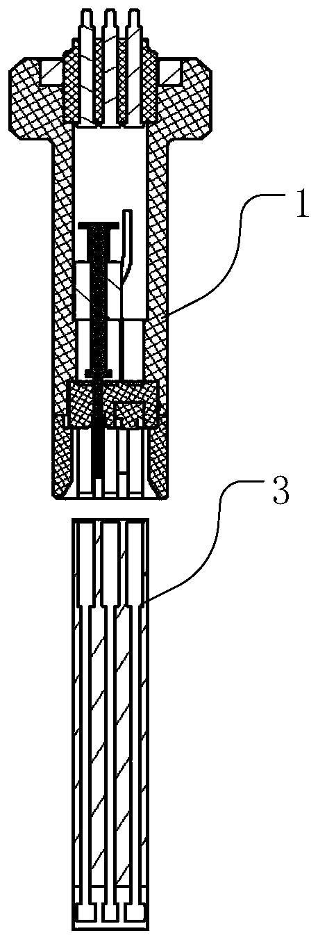 Electric pop-up electrode rod and vitamin detector employing electrode rod