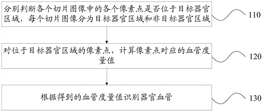 Method and device for identifying organ blood vessels