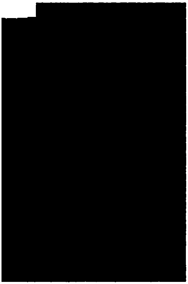 Black magnetic fingerprint display powder using graphene-modified stearic acid and its preparation