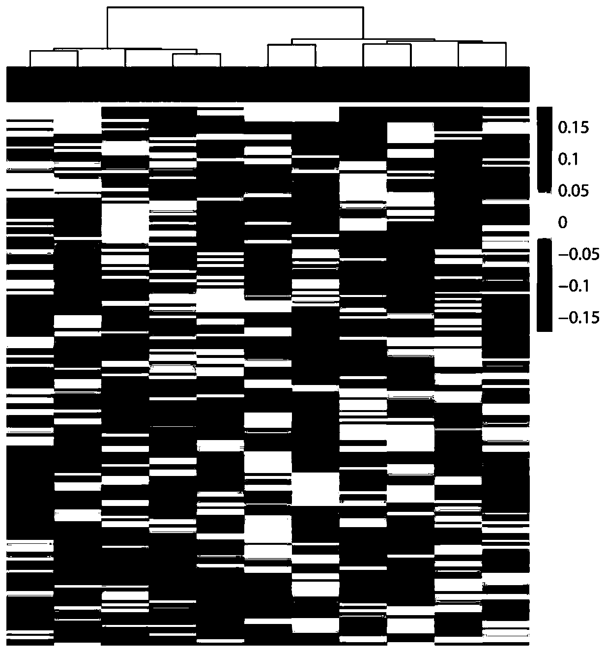 Cluster analysis method based on peripheral blood plasma free DNA nucleosome footprint difference, and application thereof