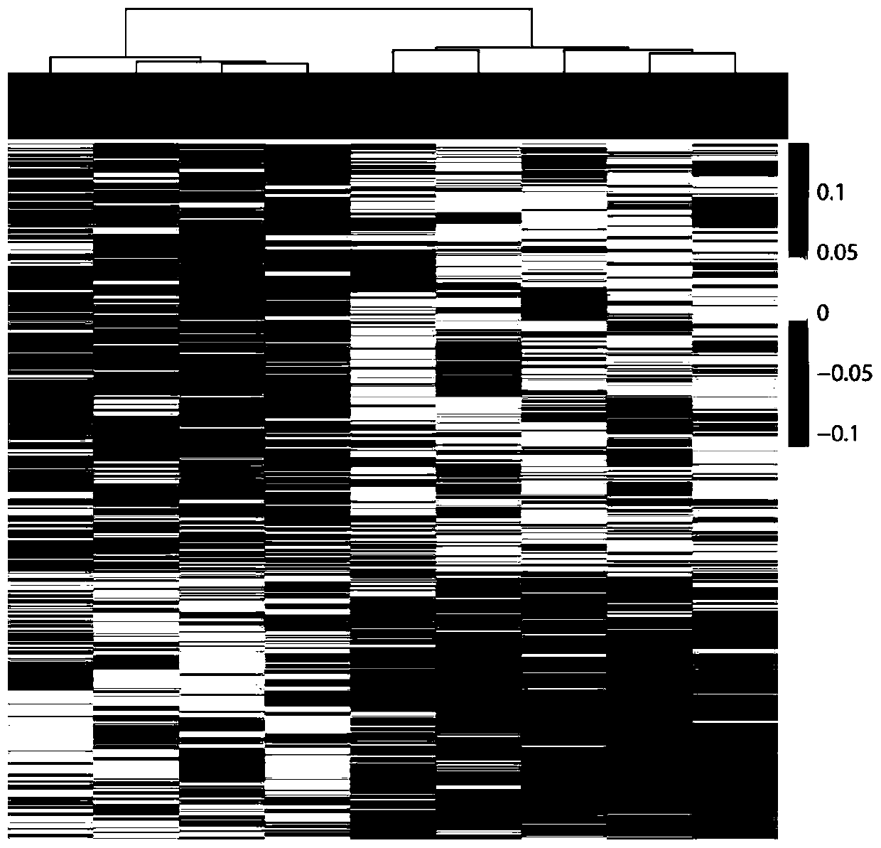 Cluster analysis method based on peripheral blood plasma free DNA nucleosome footprint difference, and application thereof